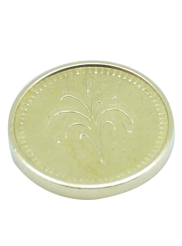 Jetons laiton 18.5x2.3mm pour station de lavage auto (lot de 100)