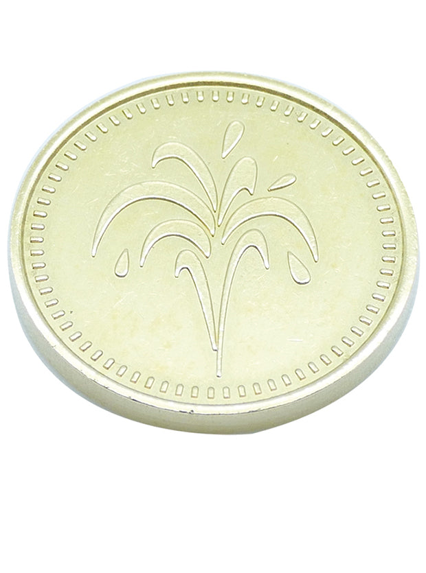 Lot de 100 Jetons Laiton Nickelé 22x2.3mm pour Car Wash