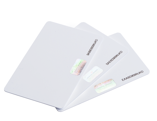 Carte Mifare 1K pour système de fidélité WORLDKEY- Lot de 200