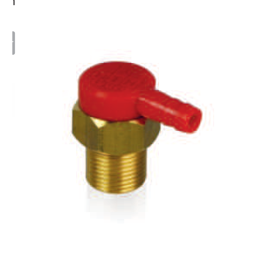 CK 100 Clapet anti-retour basse pression