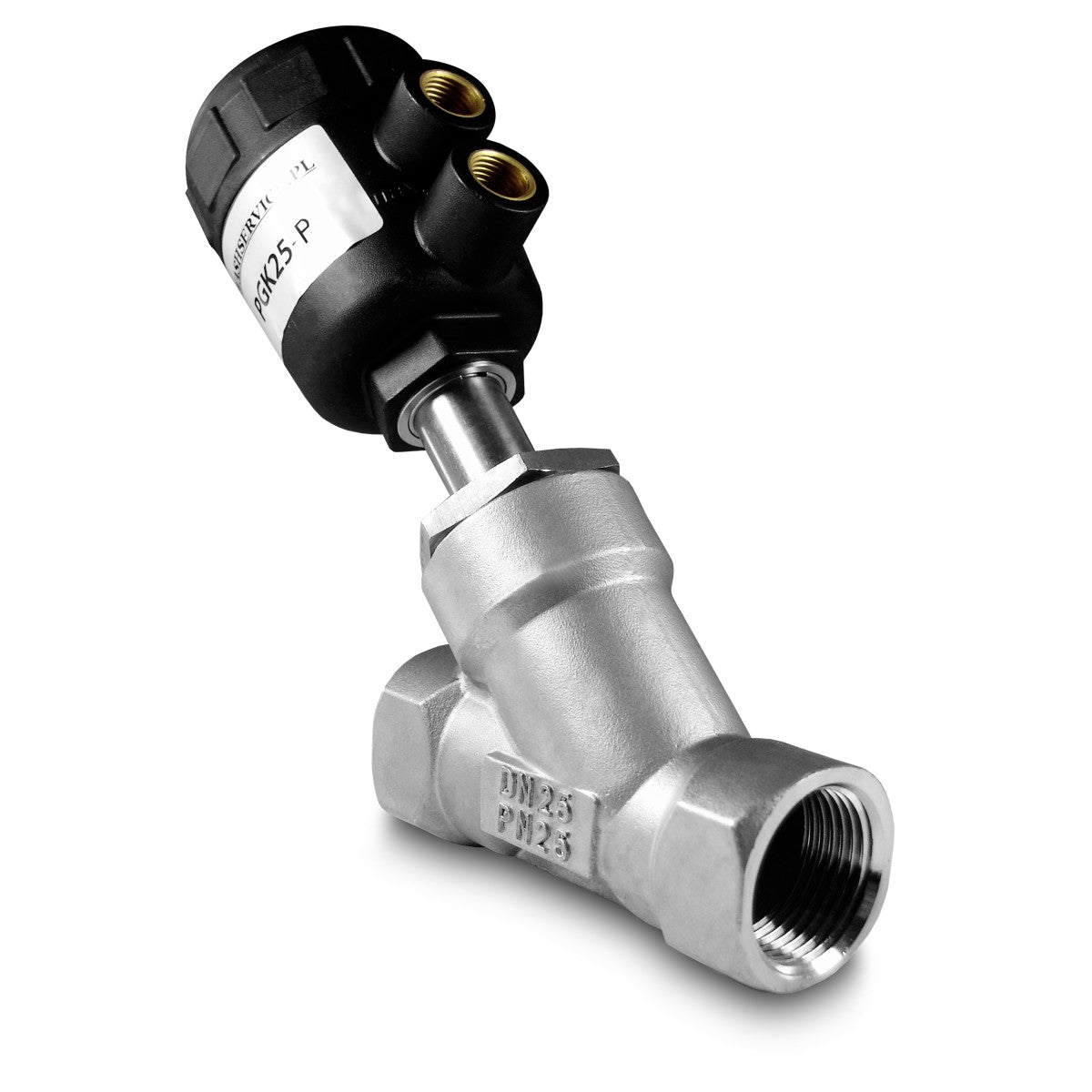 Vanne Pneumatique d'Angle 1 Pouce PGK25-P en Acier Inoxydable SS304