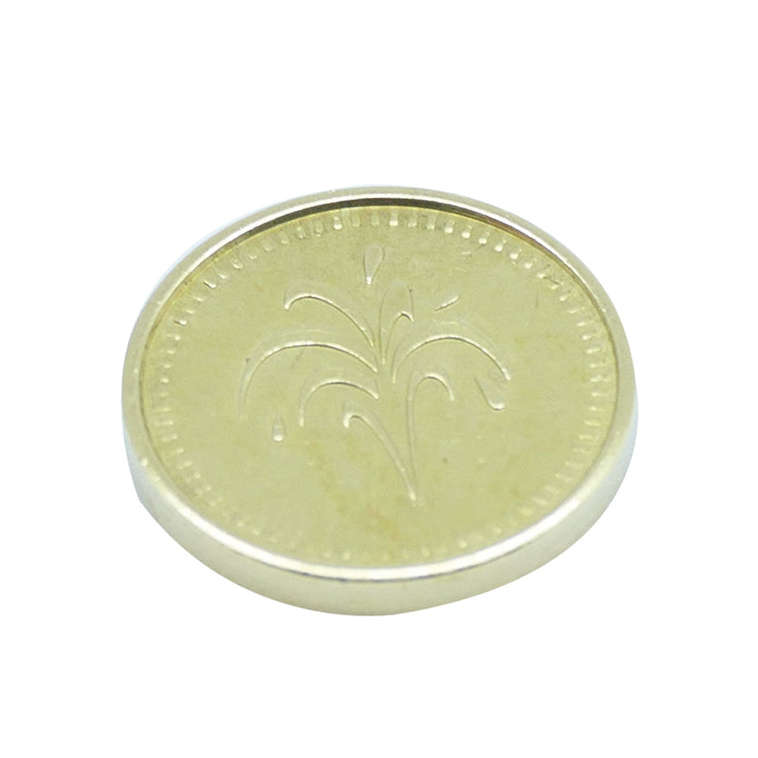 Jetons laiton 18.5x2.3mm motif jet et lance (lot de 100)