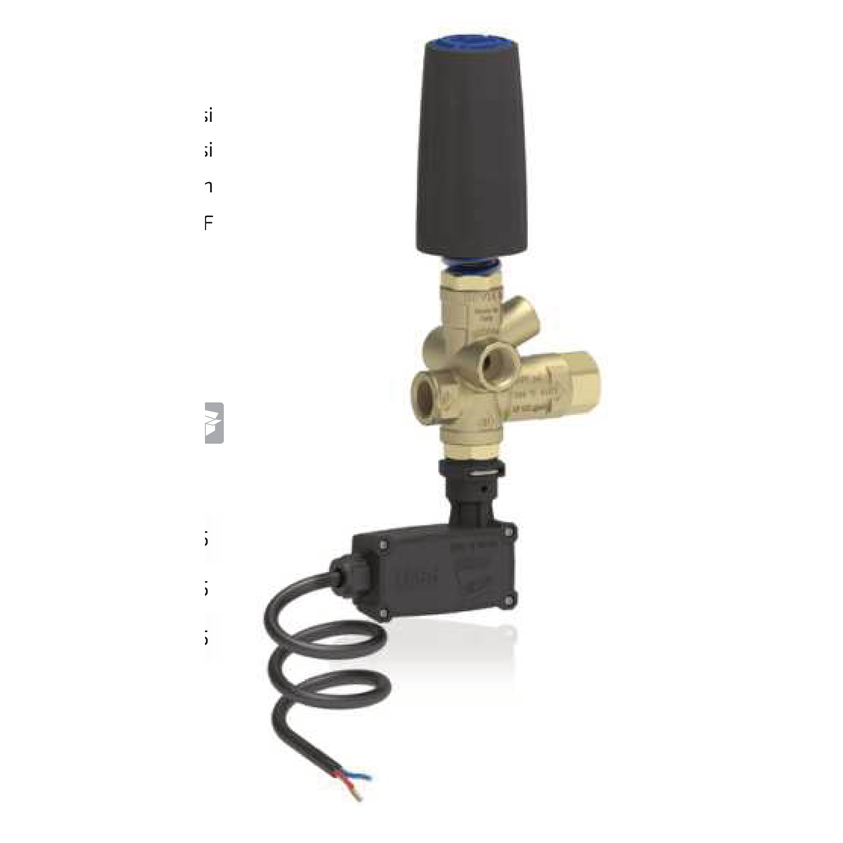 BRV31 T vanne de régulation de dérivation avec prise de pression, microrupteur sans bouton