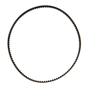 Courroie pour lave tapis - AD Produzione